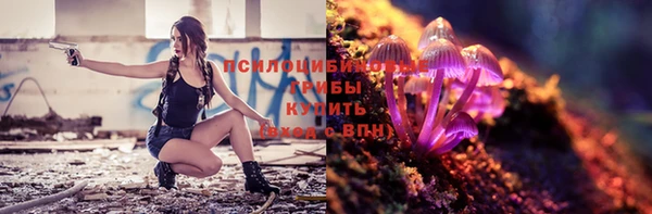 МДПВ Каменногорск