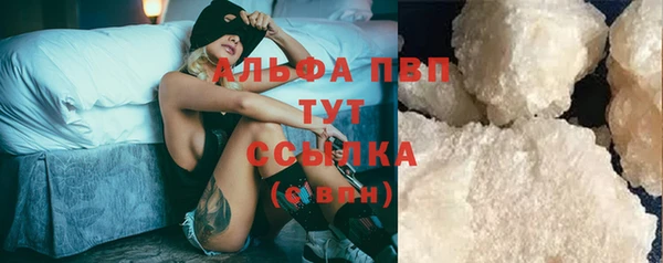 спиды Каменск-Шахтинский