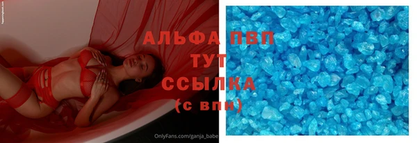соль ск Инсар