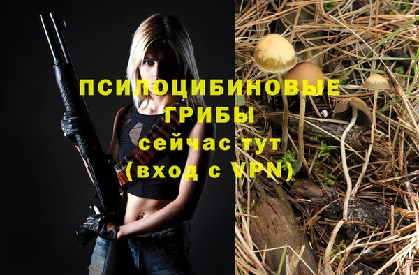 МДПВ Каменногорск