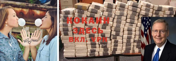 МДПВ Каменногорск