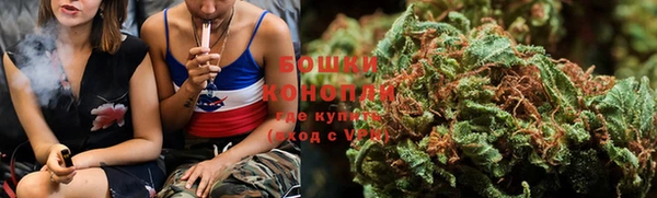 МДПВ Каменногорск
