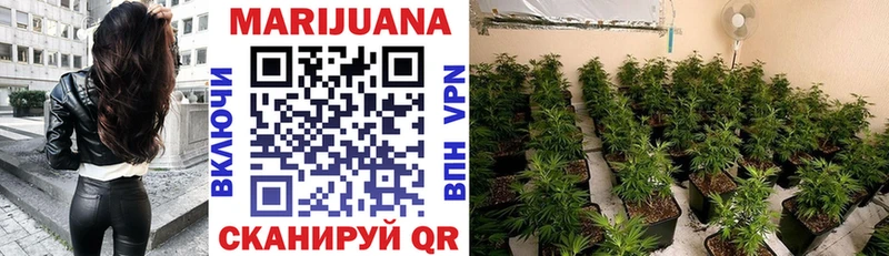 даркнет сайт  Пионерский  Марихуана ГИДРОПОН 